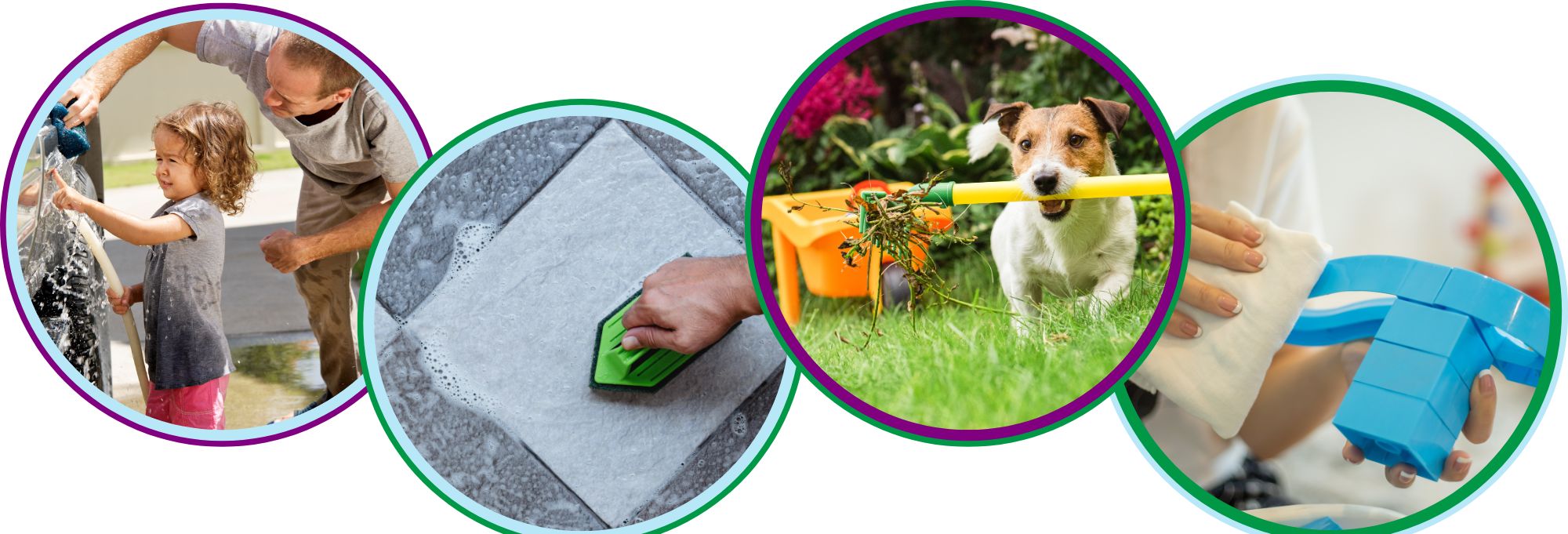 mosólapka, mosólap