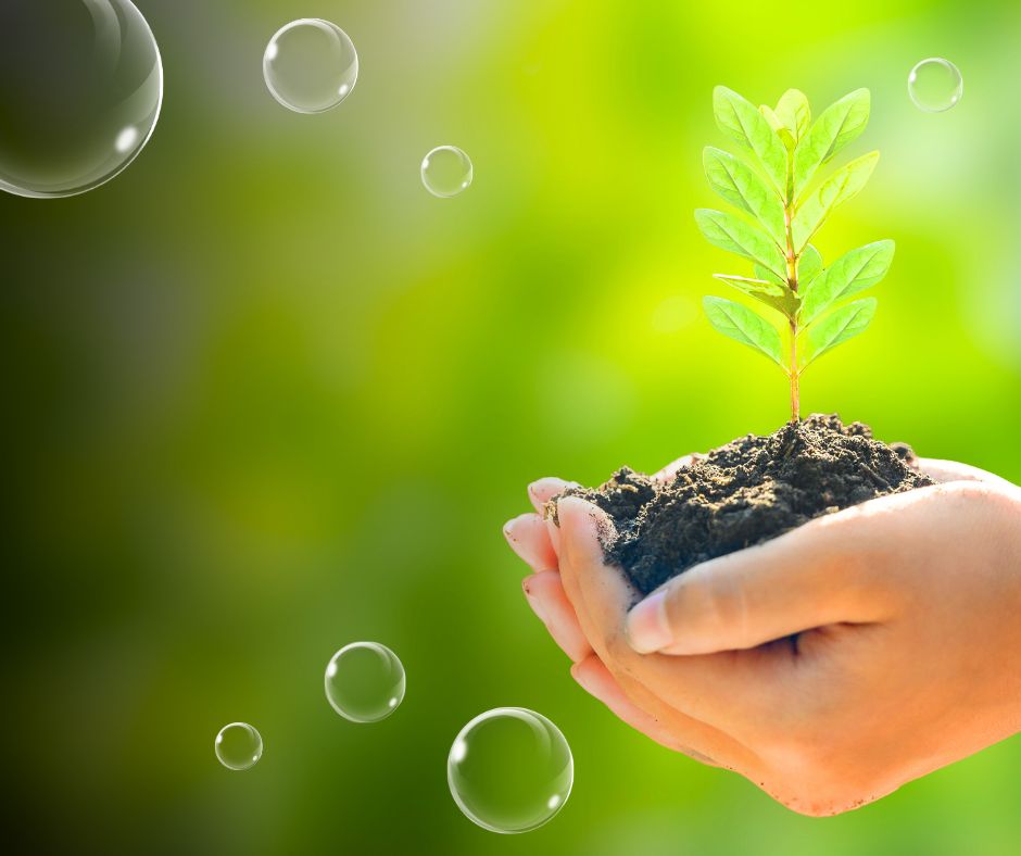 Mosómami: Öko manufaktúra